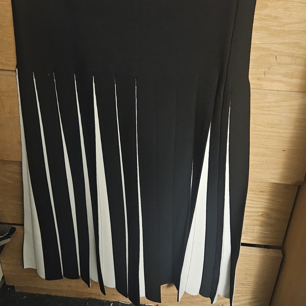 Zara Black and White Pleated-Panel Midi Skirt